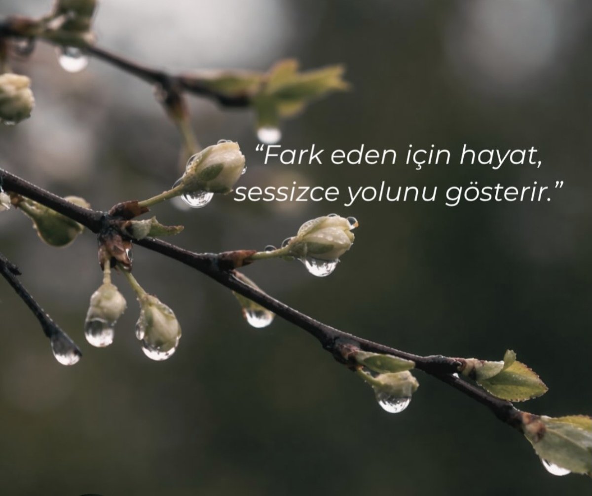 Ma'nın Seyir Defteri tweet media