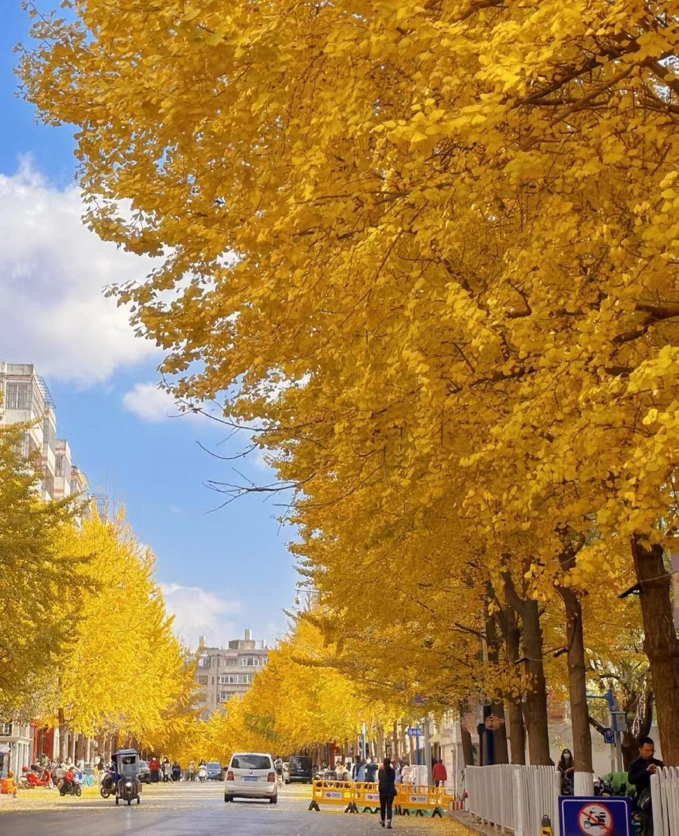 abdullah abu yameen tweet media