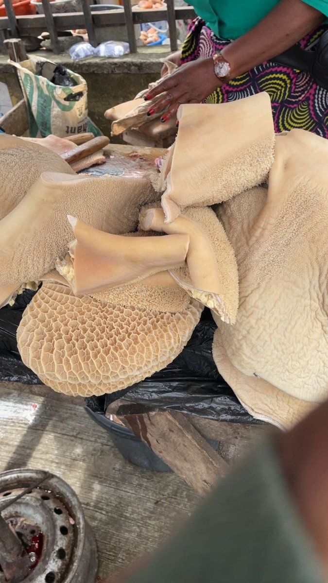 Riley 🌷 tweet media