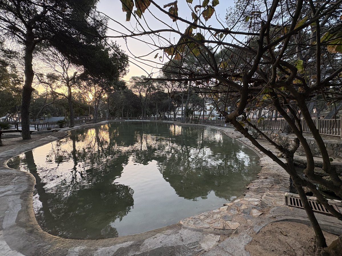 José Luis Sáez tweet media