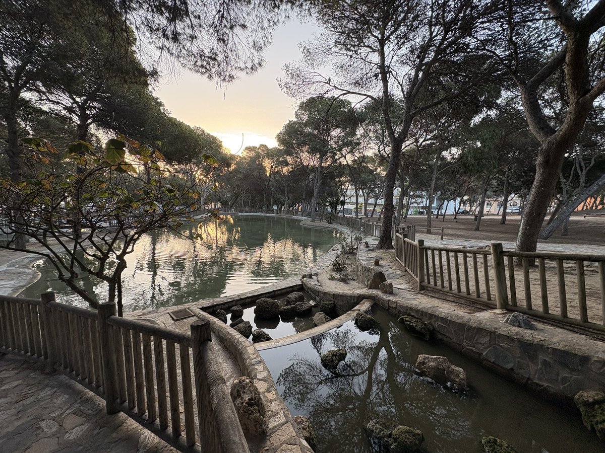 José Luis Sáez tweet media