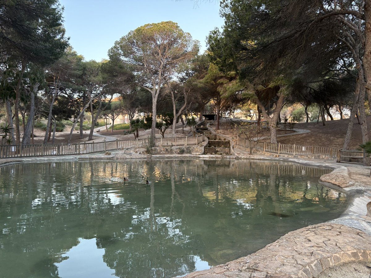 José Luis Sáez tweet media