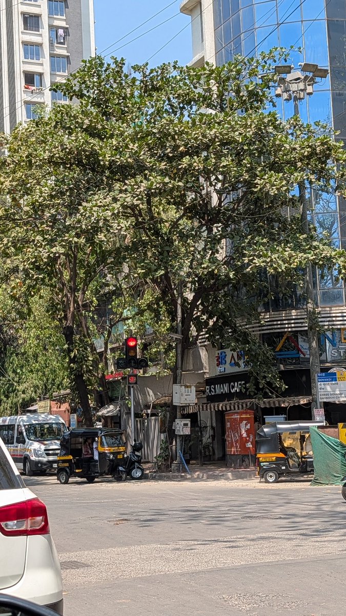 Vineet Rajan tweet media