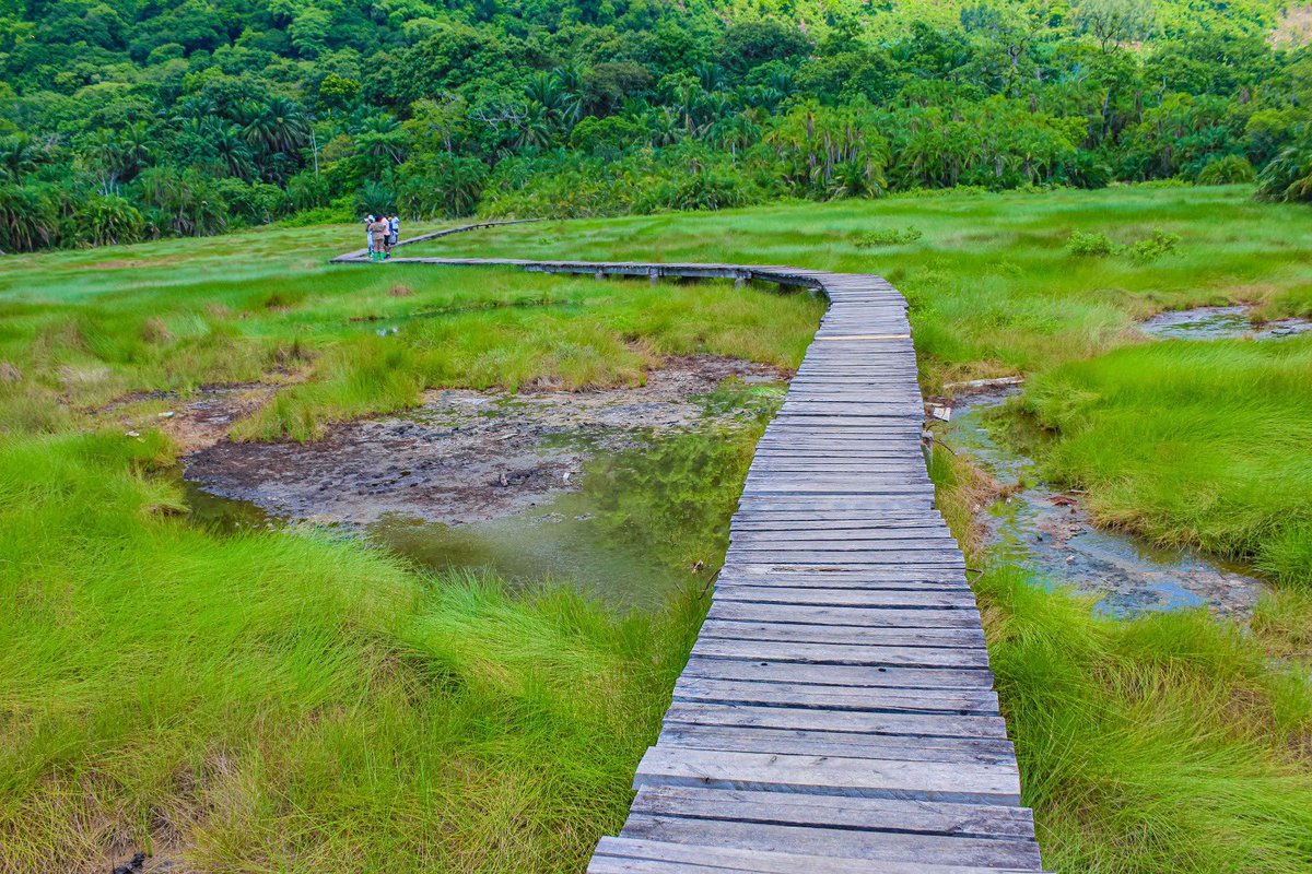 Mükalazi Jacob Zuma tweet media