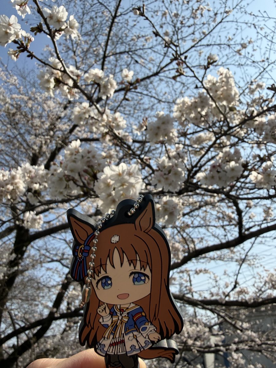 さぼてんばたけ tweet media