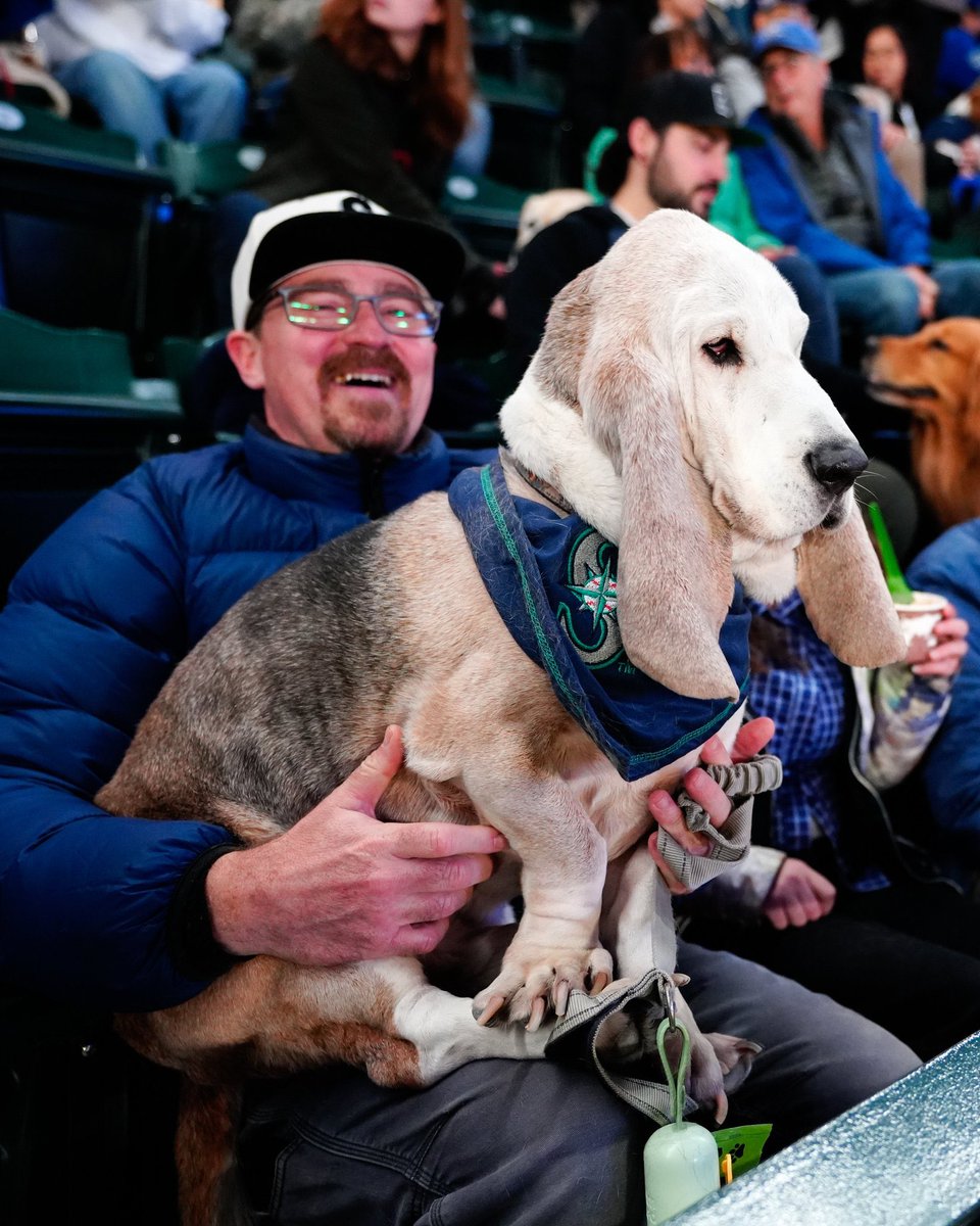 ᴘᴀᴠʟᴏᴠ ᴛʜᴇ ᴄᴏʀɢɪ tweet media