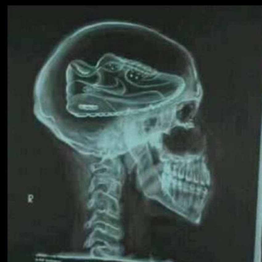 Bander Alharbi tweet media