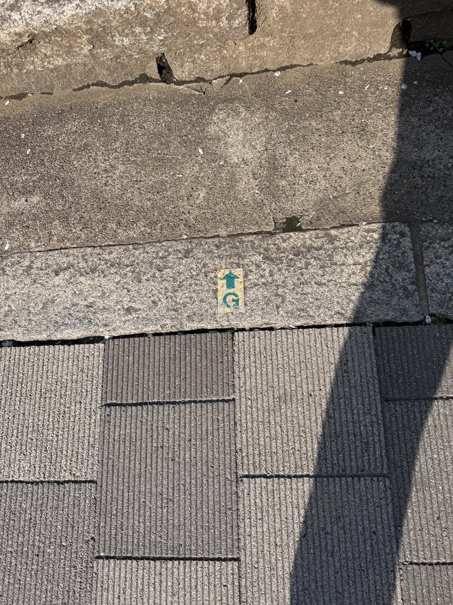 ティムラズ・レジャバ駐日ジョージア大使 tweet media