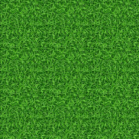 Victors Pixel tweet media