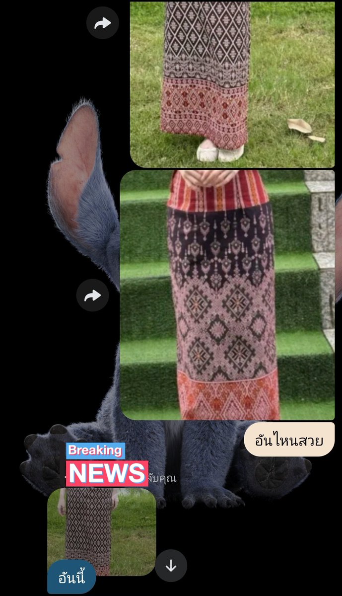 🌊🌞^BLUE 682^⚡🐇 tweet media