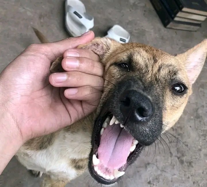 🇫🇷𝐉𝐎ã𝐎 𝐏𝐒𝐆 ⁸⁷ tweet media