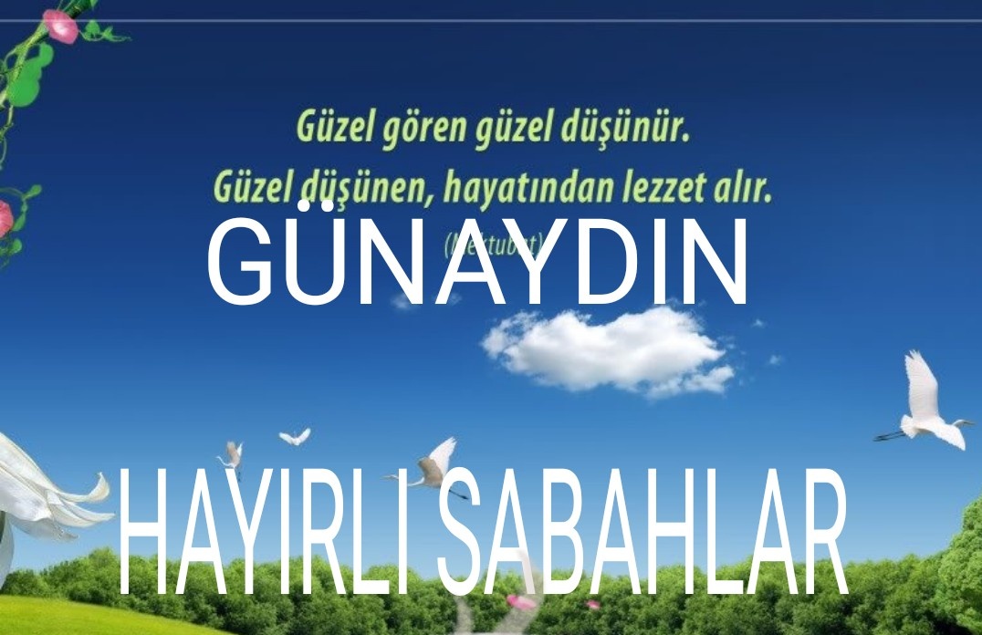 ahmet Usta tweet media