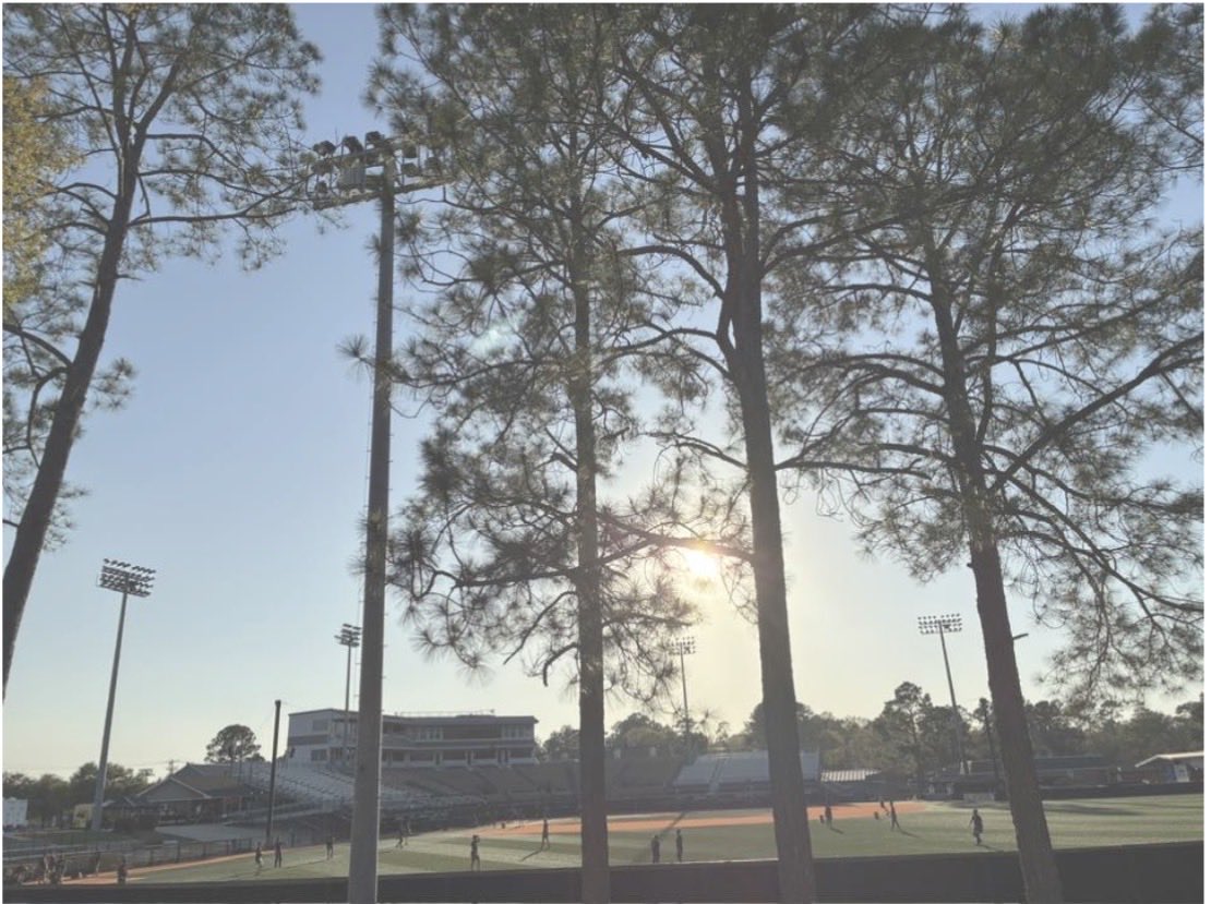 ClancyJon's tweet photo. The PTP Magic: Stadium Stories collection by Matt & @magnoliasports1 shares some history of the park not everyone is aware of.
We’re responsible for preserving Coach Denson’s efforts that add to the charm of PTP.
https://t.co/LLfIiKN7jC…
#SMTTT #SBC #Baseburg https://t.co/bO1hJdi9gD