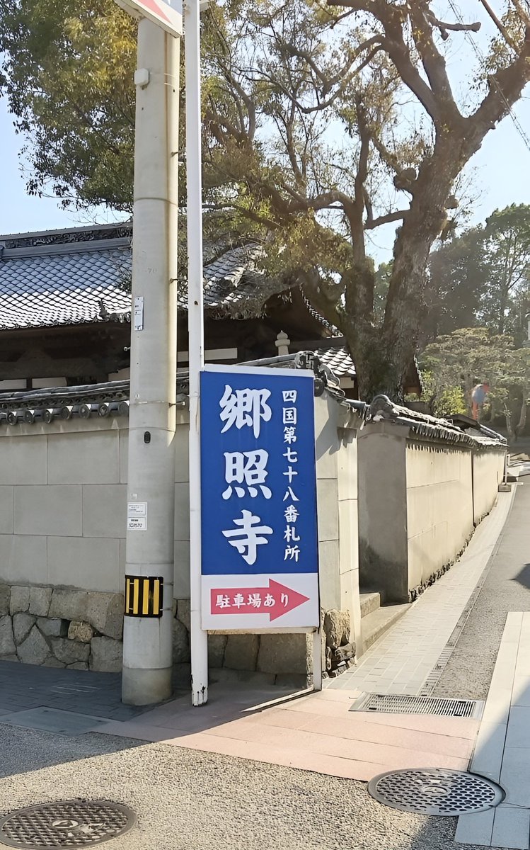 鯉Chu… tweet media