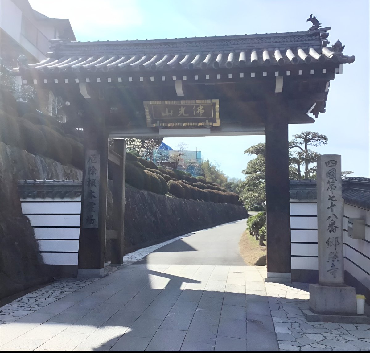 鯉Chu… tweet media