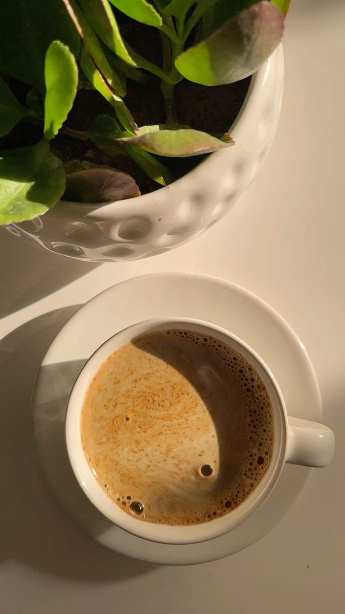 مستگہ ❥ tweet media