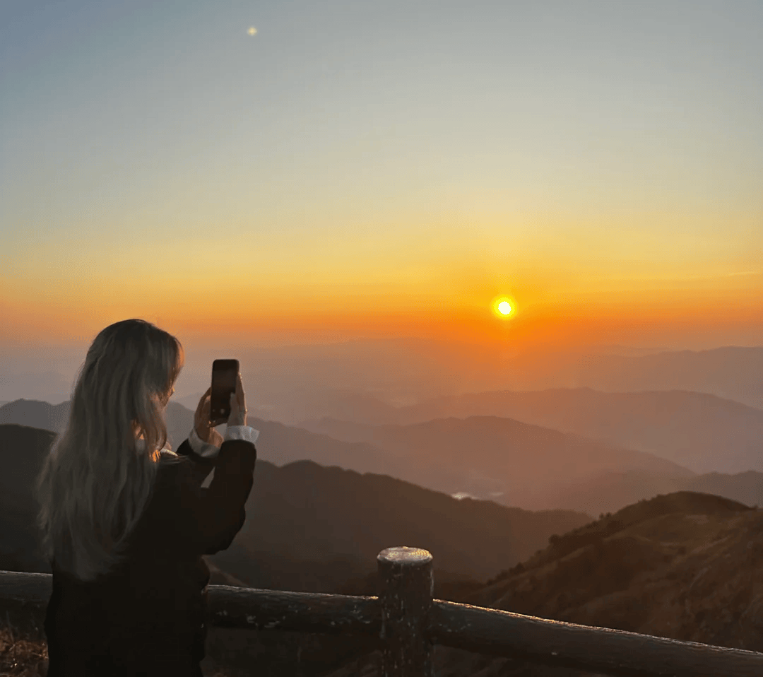 miguel ângelo veludo tweet media