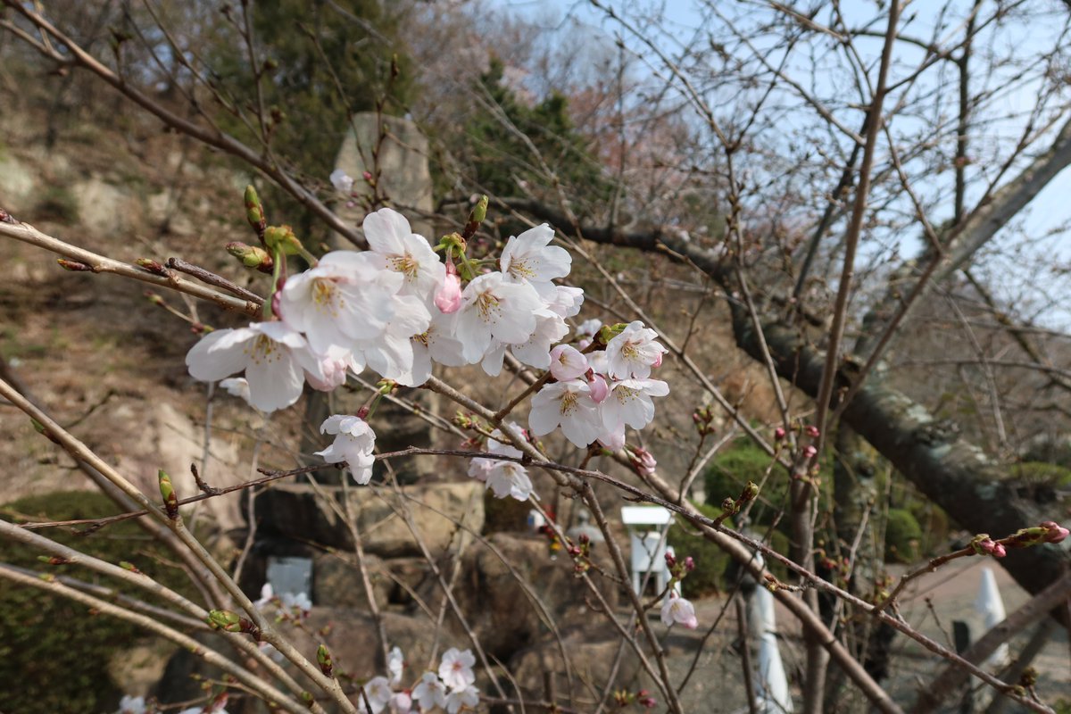 軍艦利根資料館 tweet media