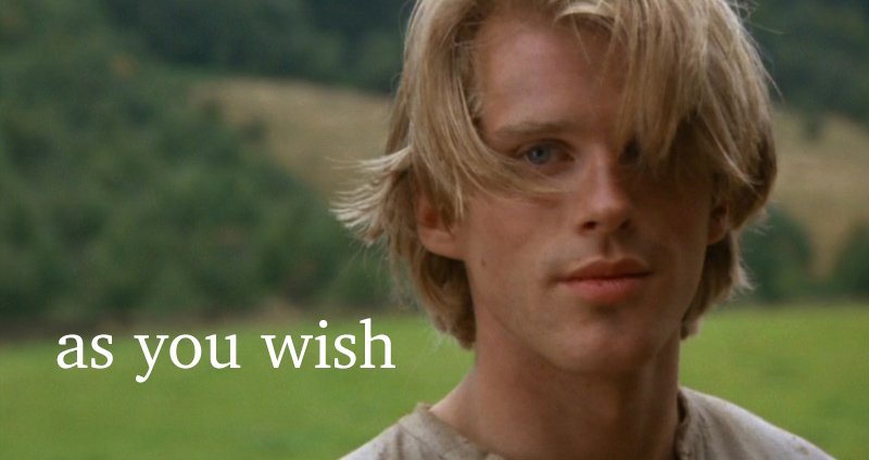 Rose • Findom tweet media