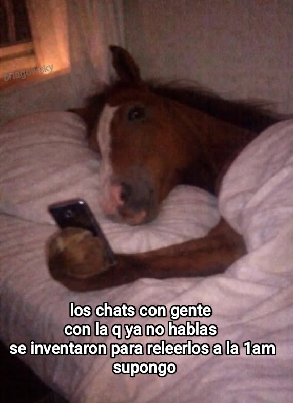 Cap Briagowsky tweet media