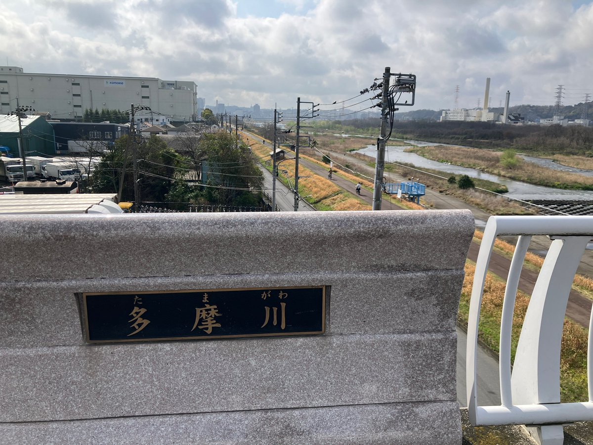 watti(わっち) tweet media