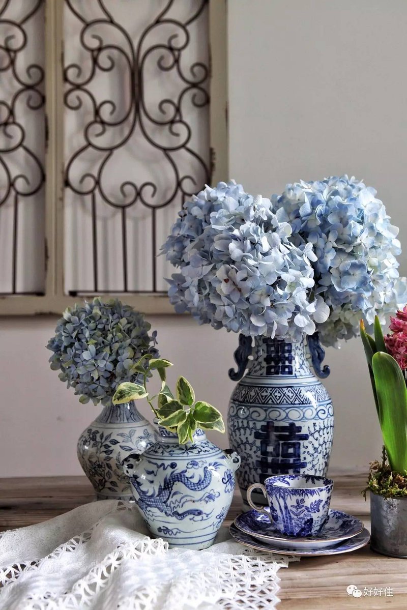 jessika toro tweet media