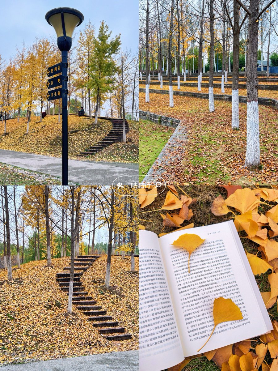 palisher t. Johnson tweet media