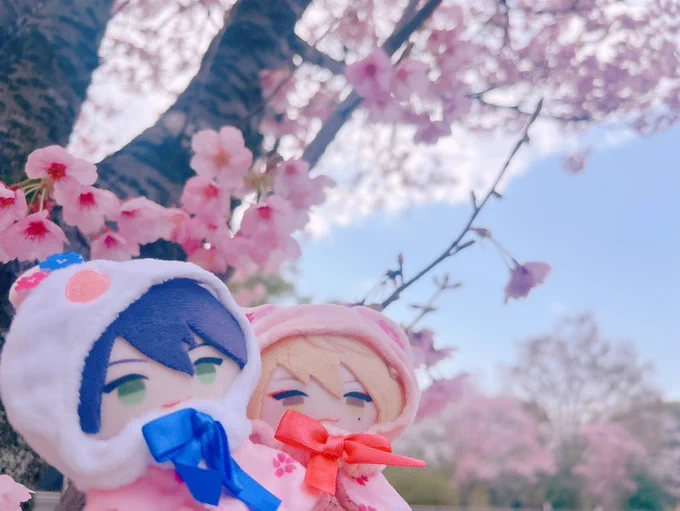 お花見だよ!ぱぺたち!