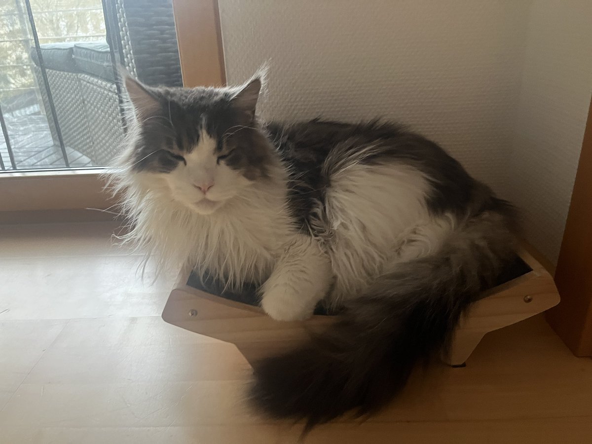 CodingJay tweet media