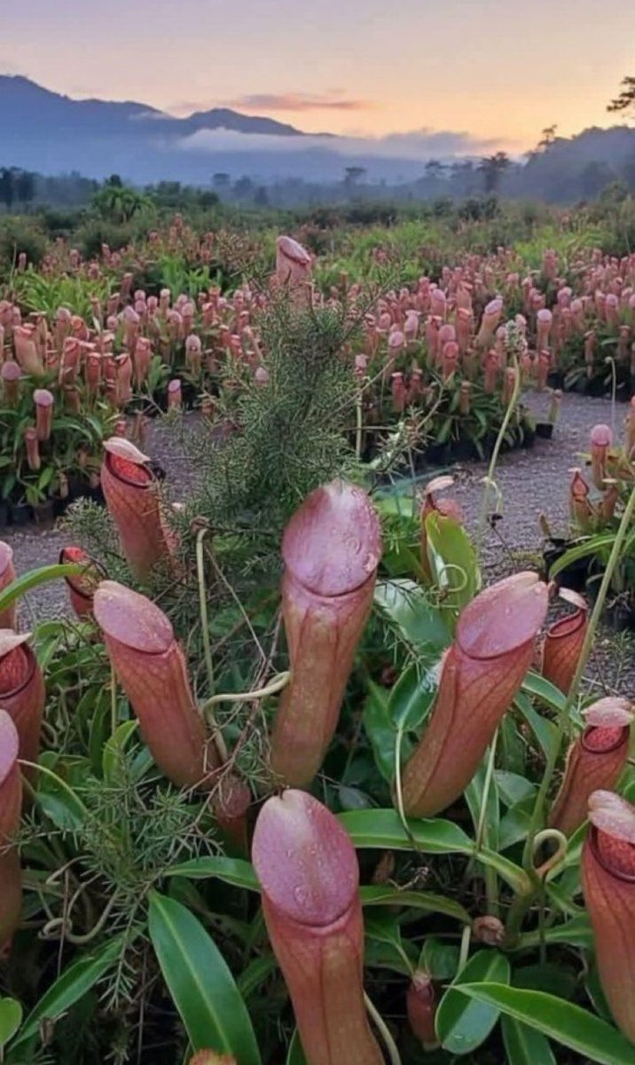 دانيا 💝 tweet media