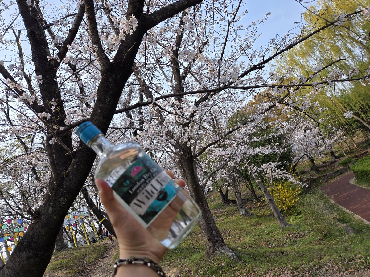 BAND-Marlbo tweet media