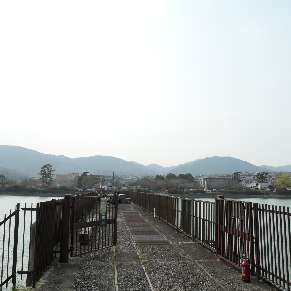 洗堰レトロカフェ tweet media