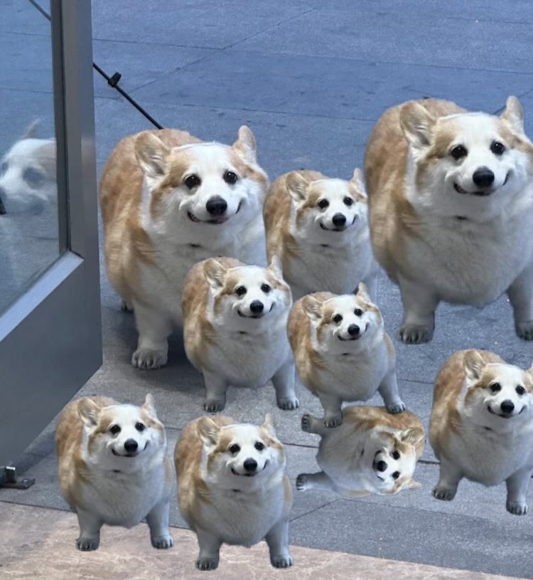 Gammadocious tweet media