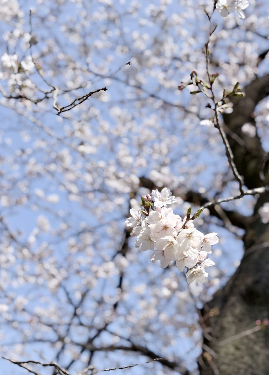 うこた tweet media