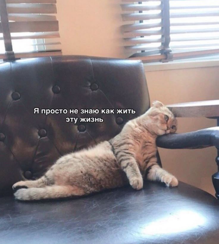 Aleksey A. Aleksandrov tweet media