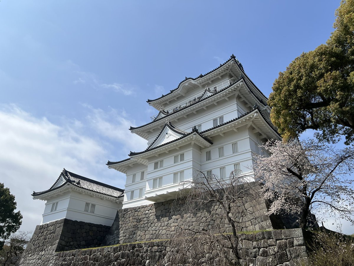 ねぴ。 tweet media