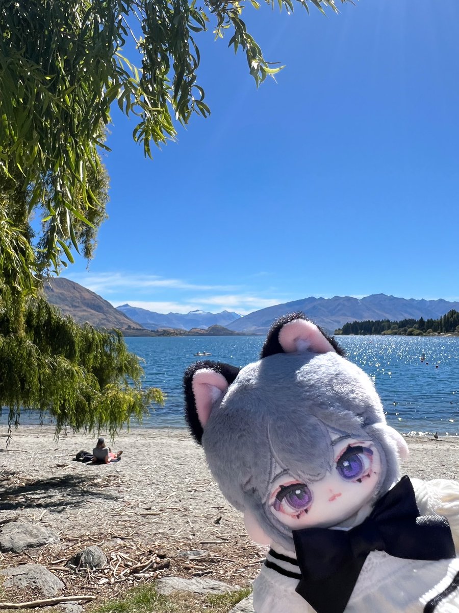 桔香梅綠 tweet media