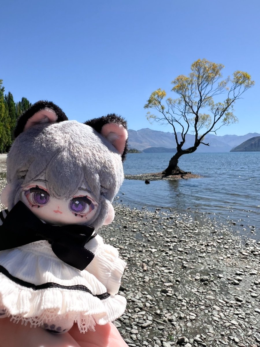 桔香梅綠 tweet media