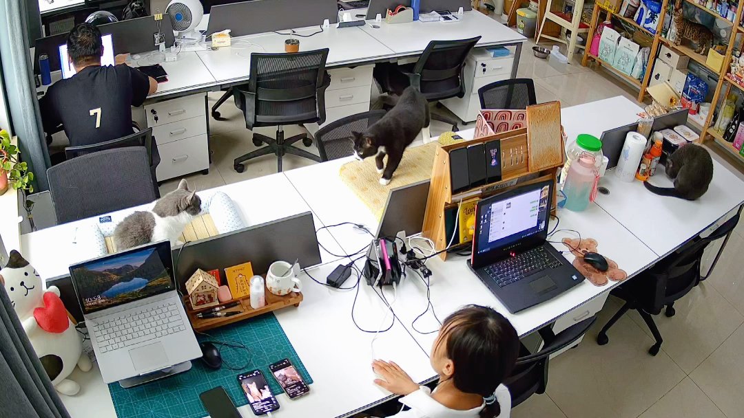 Haydon Yu tweet media