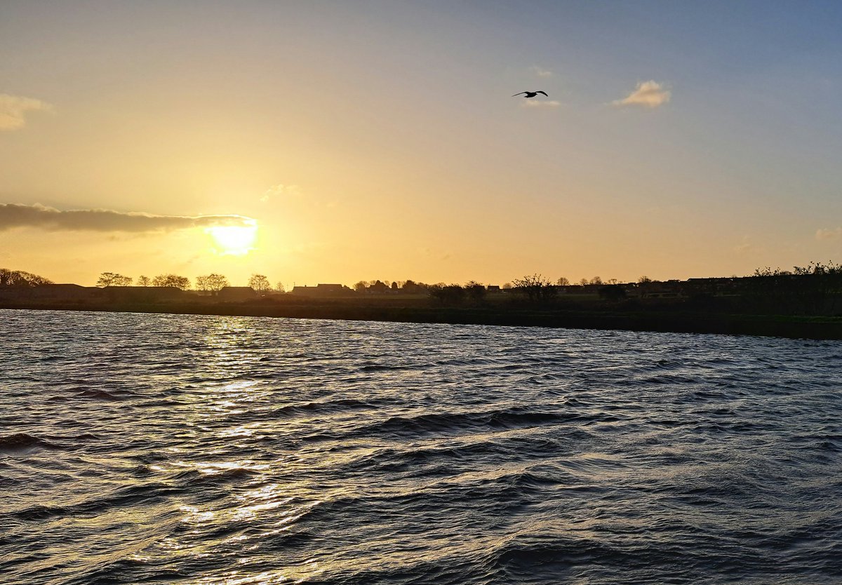 Anne-Marie Denniss tweet media