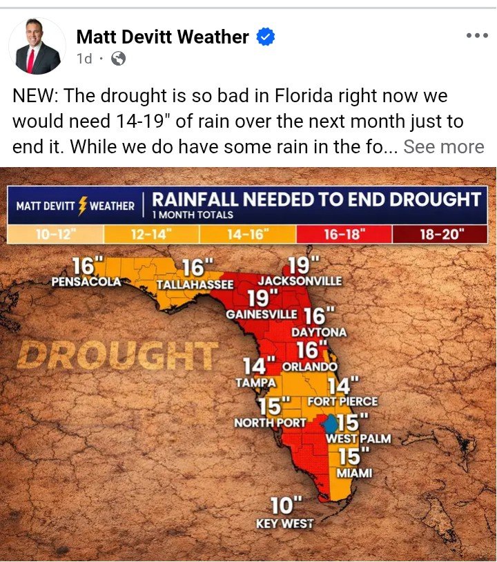 Tina.. 🐊🇺🇸 tweet media