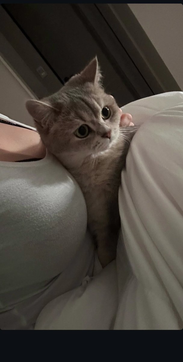 ๋ฝ๋ฅ๐ฑ tweet media