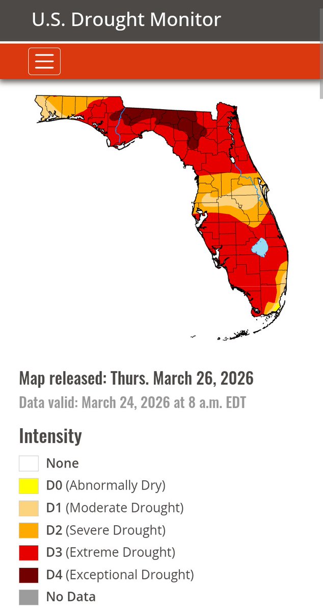 Tina.. 🐊🇺🇸 tweet media