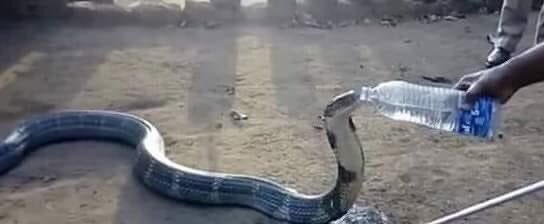 فرحان الملحم 🇸🇾 tweet media