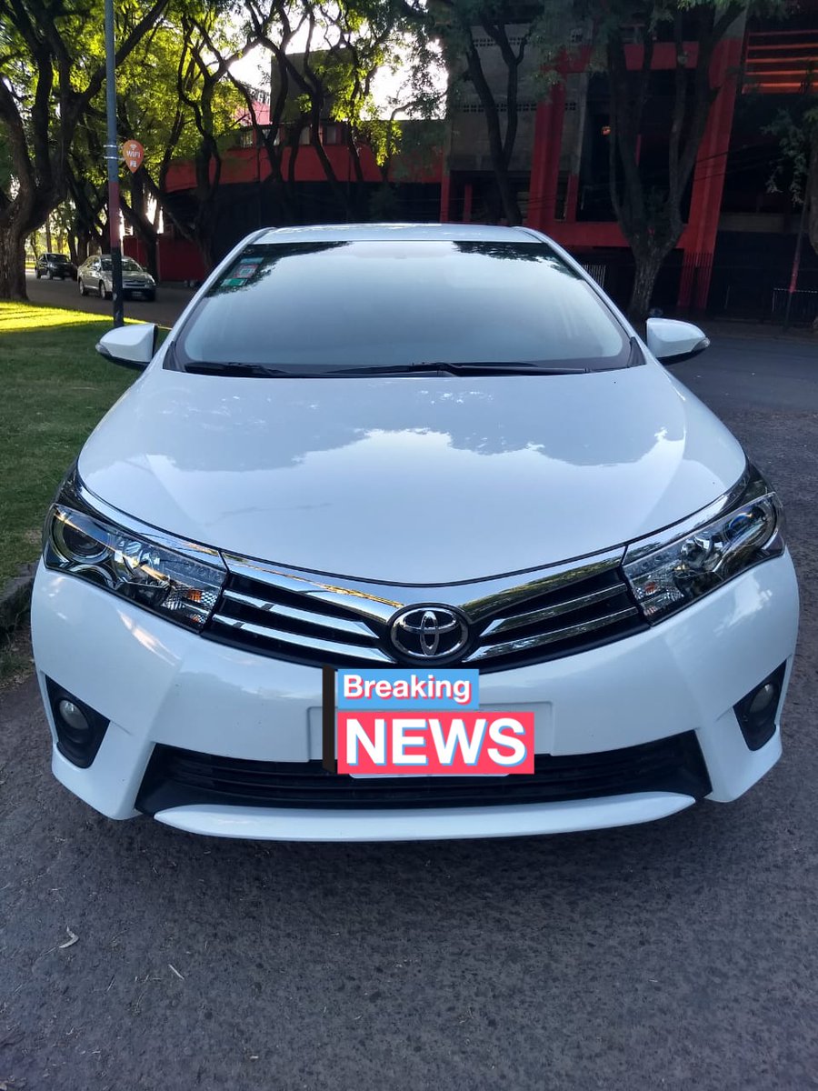 Daniel de Rosario 🇦🇷🇺🇸 tweet media