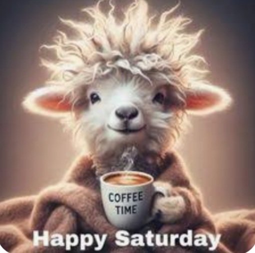 Sensitive Soul 17 (Sandra) tweet media