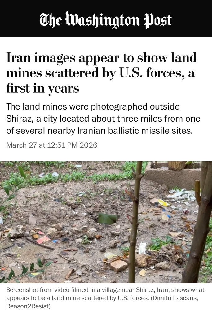 Truth_teller 🇷🇺 tweet media