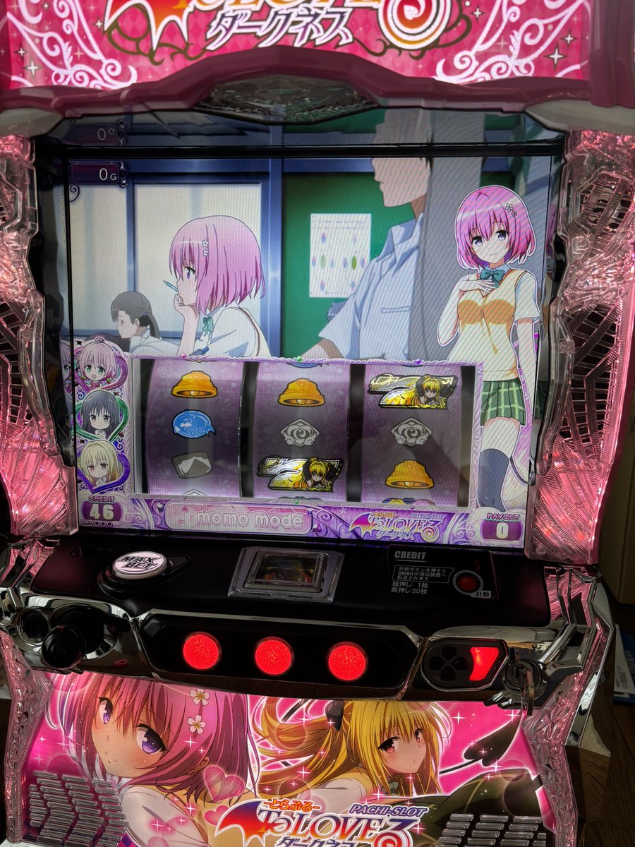 神タク(yakyu.79)2023年シーズン現地11勝6敗 tweet media