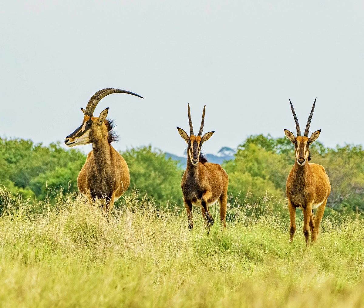 Paul Watkins tweet media