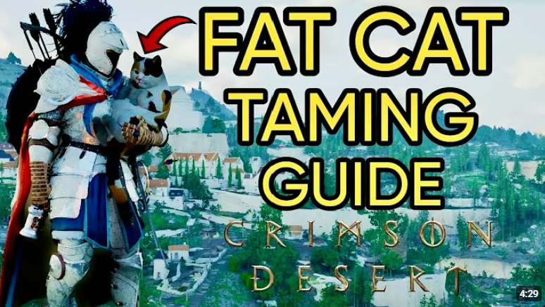 Mike 🌴🌊 tweet media